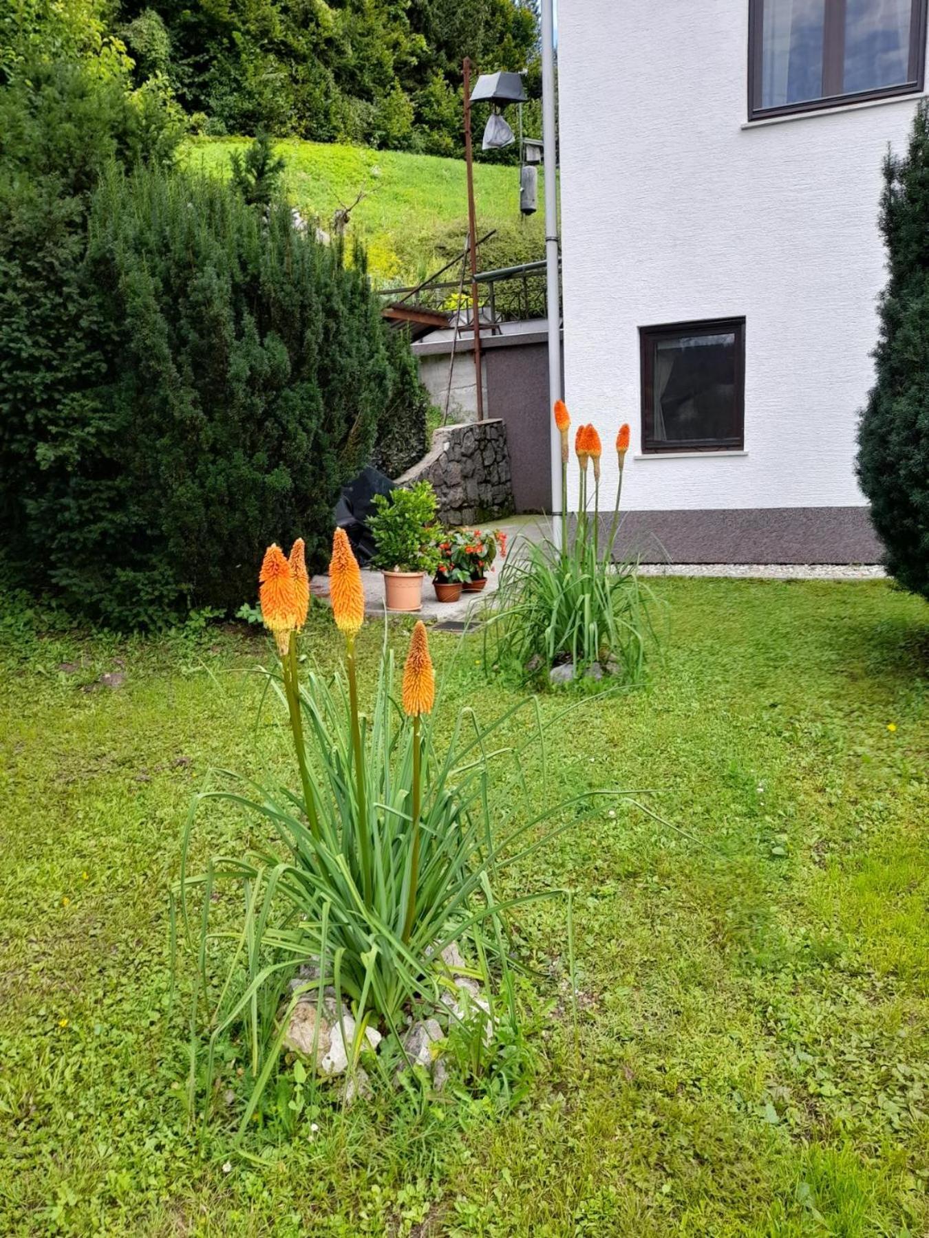 Ferienwohnung Gogo Delnice Exterior foto